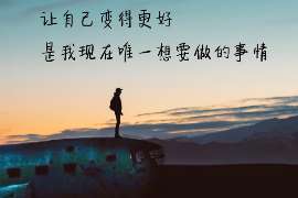 丁青调查案例