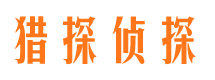 丁青侦探公司